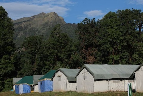 Magpie Jungle Camp